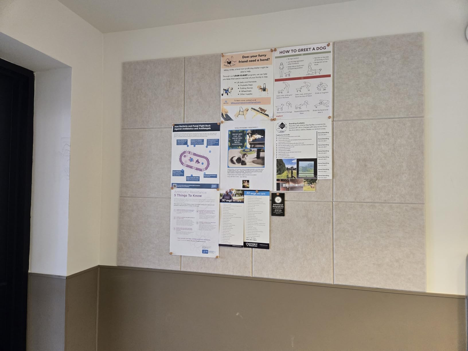 MaxGear Large Felt Bulletin Board 36