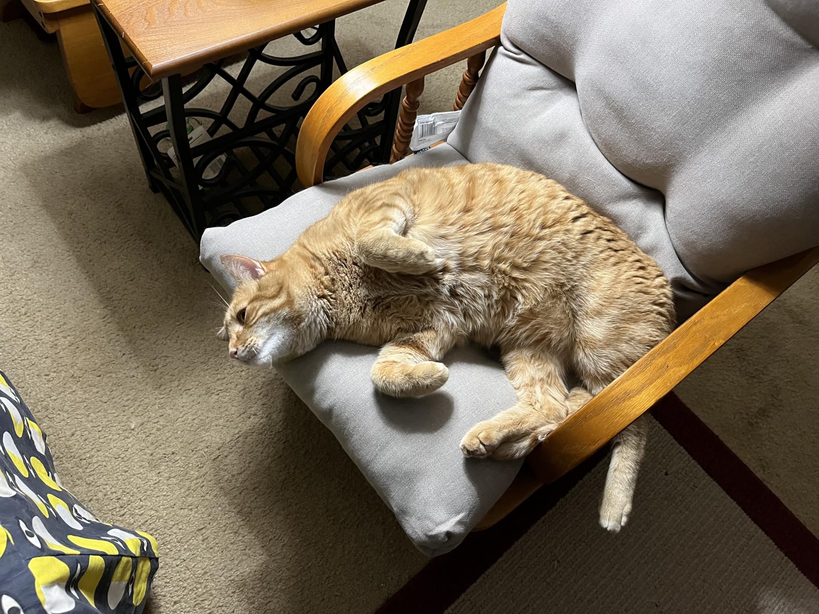 Arden Indoor/Outdoor Plush Modern Tufted Adirondack Cushion, 2-Pack, 21.5 x 19, Water Repellent, Rain Proof, Fade Resistant Cushion for Rocking Chair Or Adirondack Sapphire Aurora Blue Damask customer photo 1