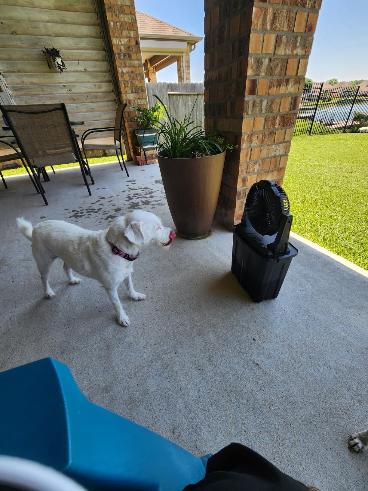 Ausic Portable Misting Fan - 9L Bucket, 10-inch Outdoor Fans for Patios/Camping/Beach/Golf etc., 20000mAh USB Rechargeable Battery Powered Floor Water Cooling Fan, 3 Strong Winds, 3 Spray Mister customer photo 2