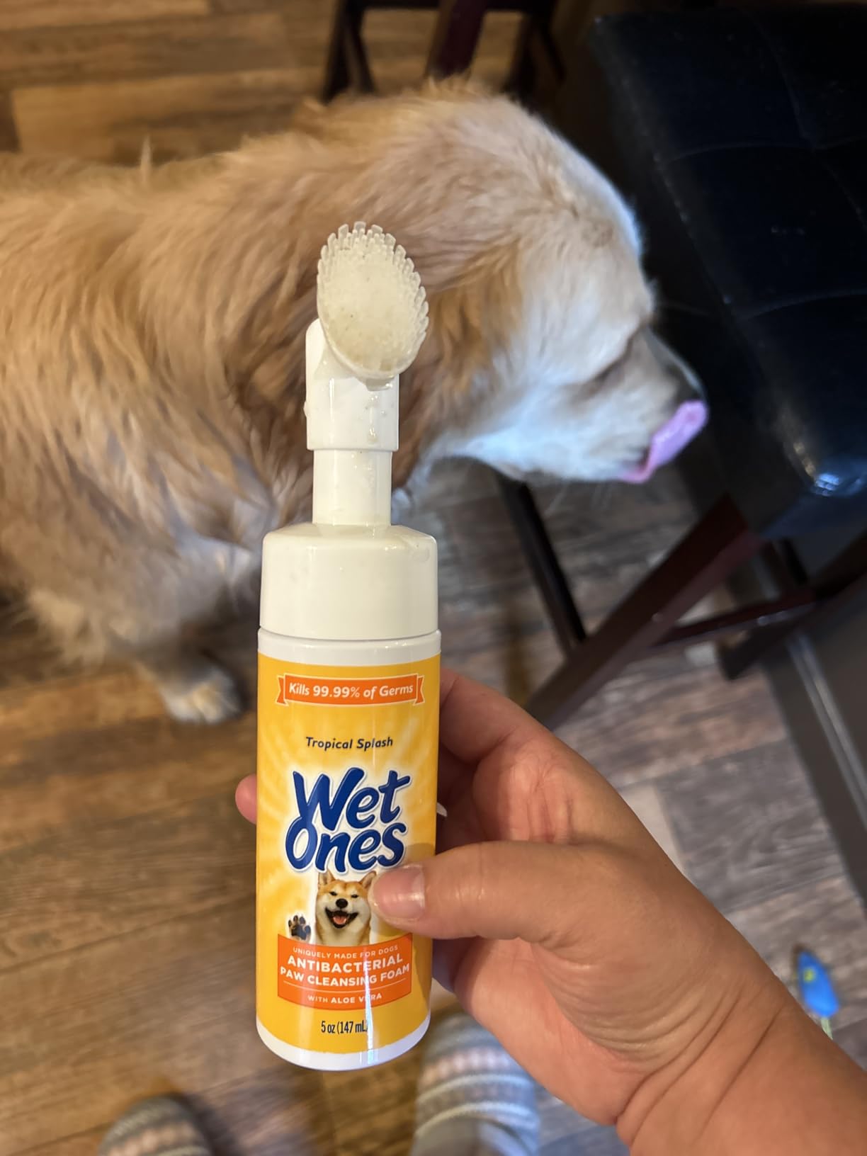 Wet Ones for Pets Antibacterial Dog Paw Cleaner with Built-in Brush, Foaming No-Rinse Formula for Cleaning Dirty Paws After Walks, Gentle Everyday Paw Wash for Dogs, 5 Oz customer photo 1