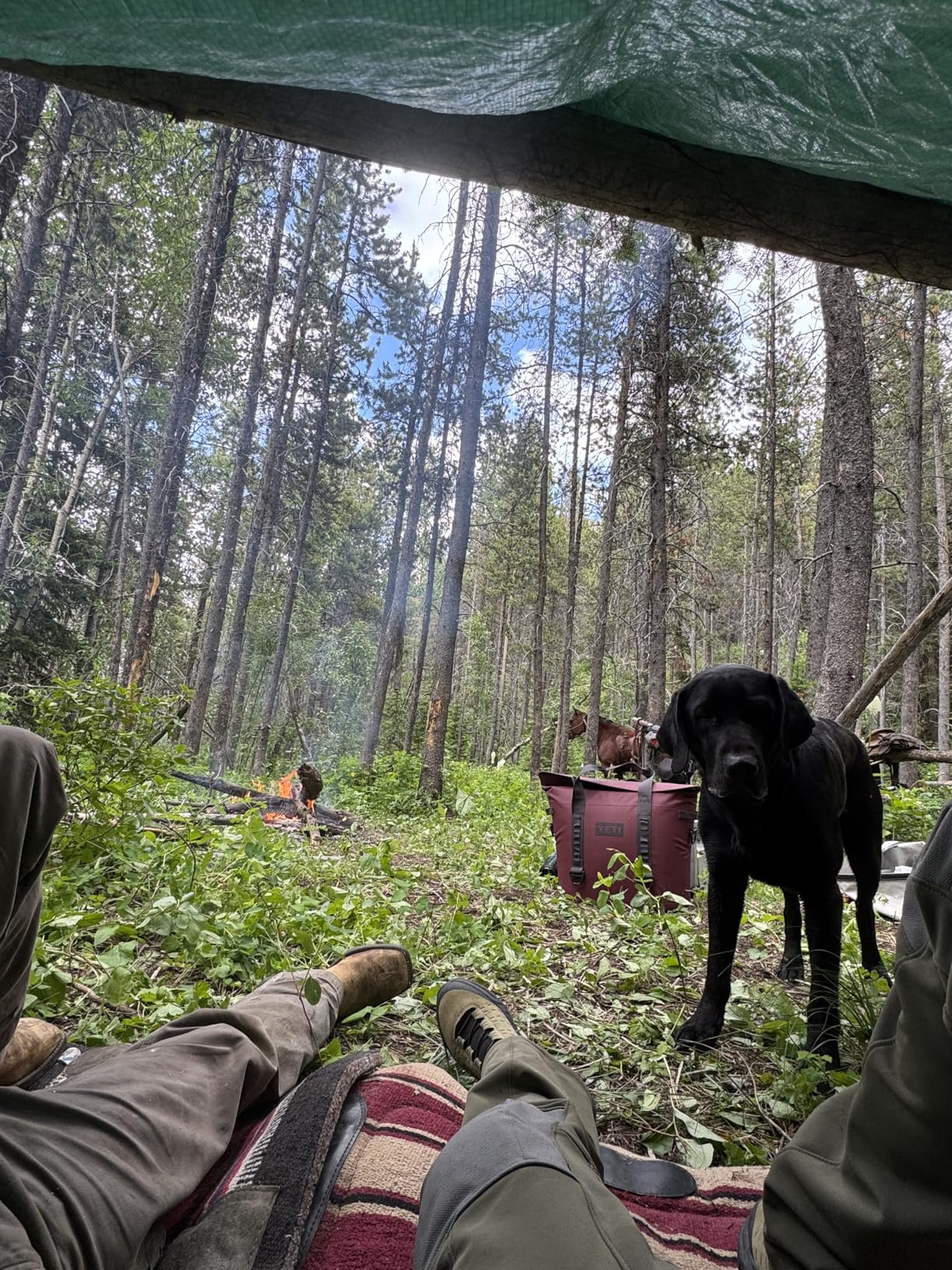 YETI Hopper M Series Portable Soft Coolers with MagShield Access customer photo 1