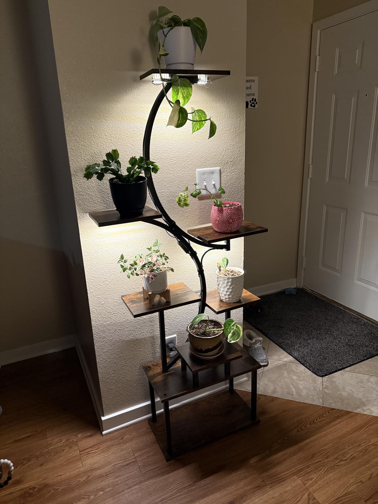 BACEKOLL Plant Stand Indoor with Grow Light, 8 Tier Corner Plant Shelf Tall | 62