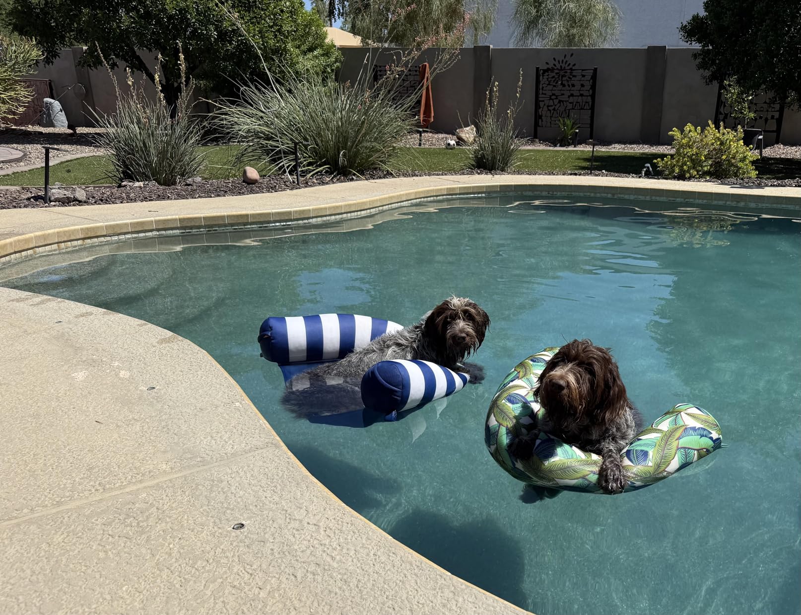 Big Joe Noodle Sling, No Inflation Needed, Pool Float with Armrests, Quick Draining Fabric, Cup Holder customer photo 1