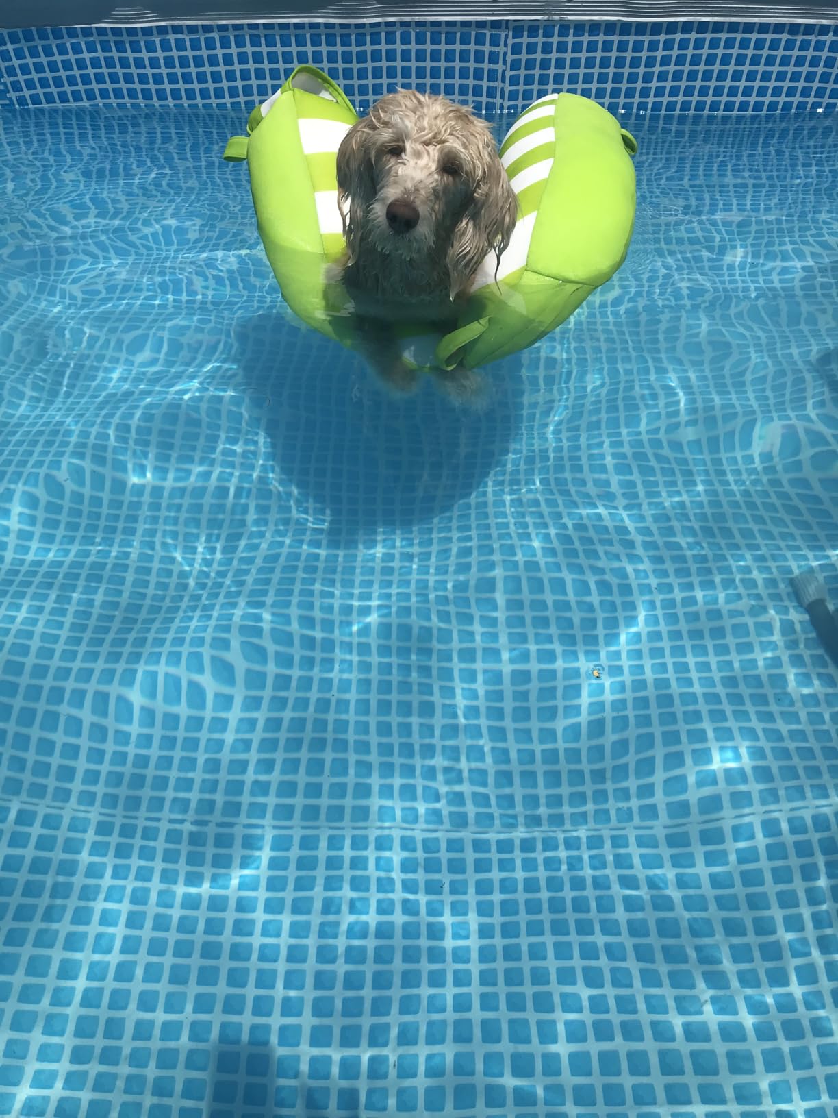 Big Joe Noodle Sling, No Inflation Needed, Pool Float with Armrests, Quick Draining Fabric, Cup Holder customer photo 2