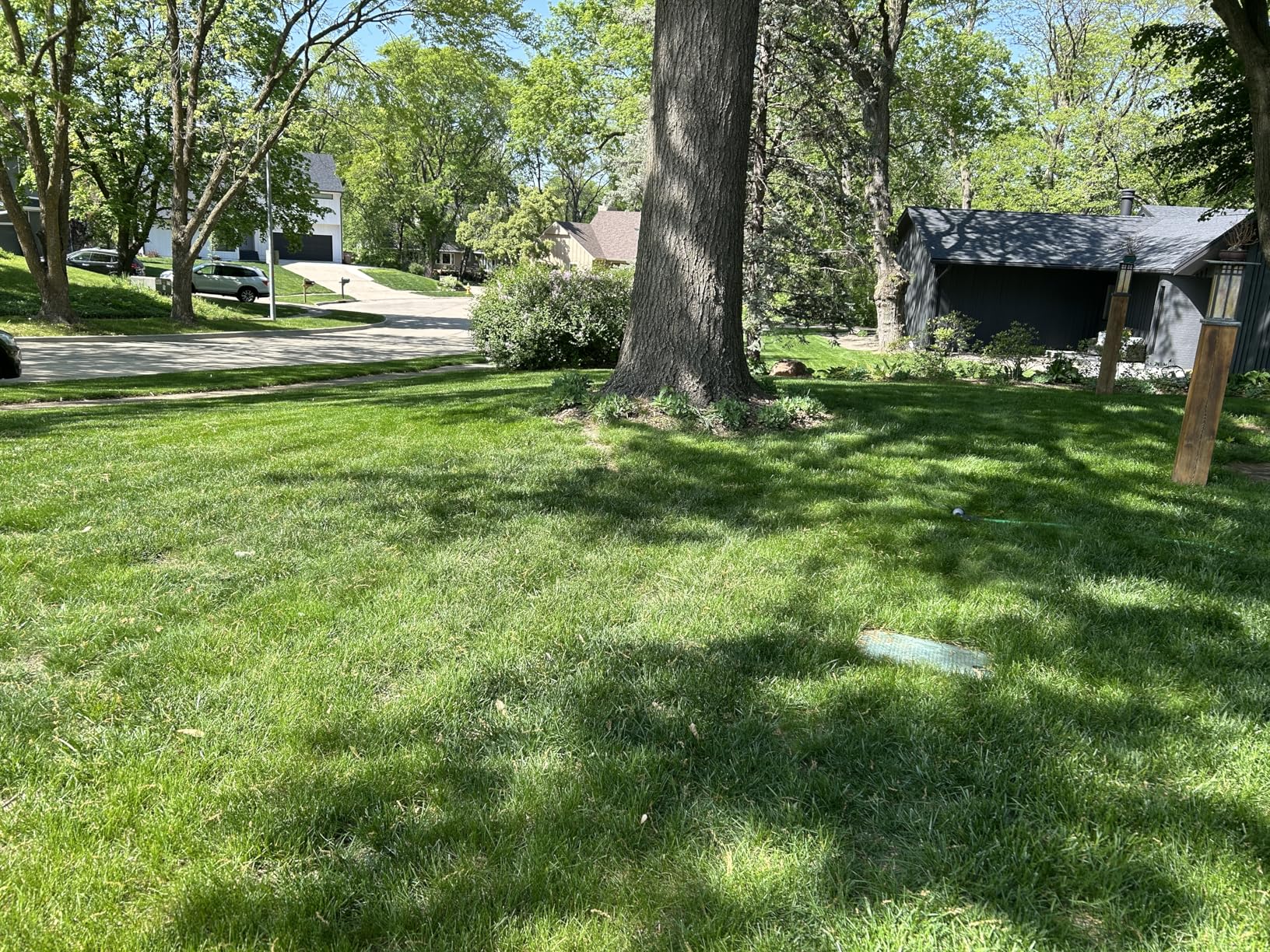 EGO Power+ Electric Lawn Mower, Cordless Push, Includes 56V 4.0Ah Battery and Charger - LM2112 customer photo 2