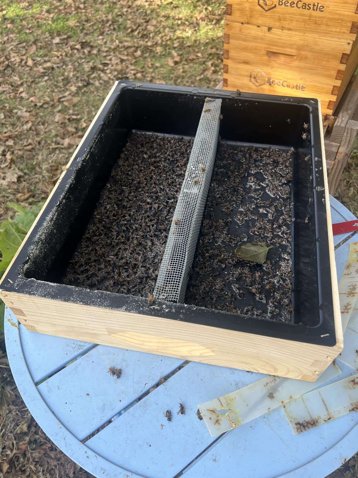 Mann Lake Honey Bee Top Feeder for Beehives, Leakproof Plastic Syrup Reservoir with Galvanized Safety Screen, Fits Standard 10-Frame Hives, Heavy-Duty Refillable Beekeeping Insert customer photo 1