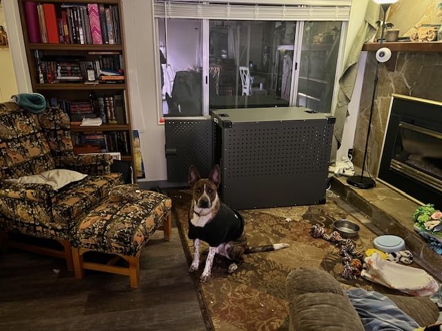 Impact Indestructible High Anxiety Dog Crate Medium customer photo 2