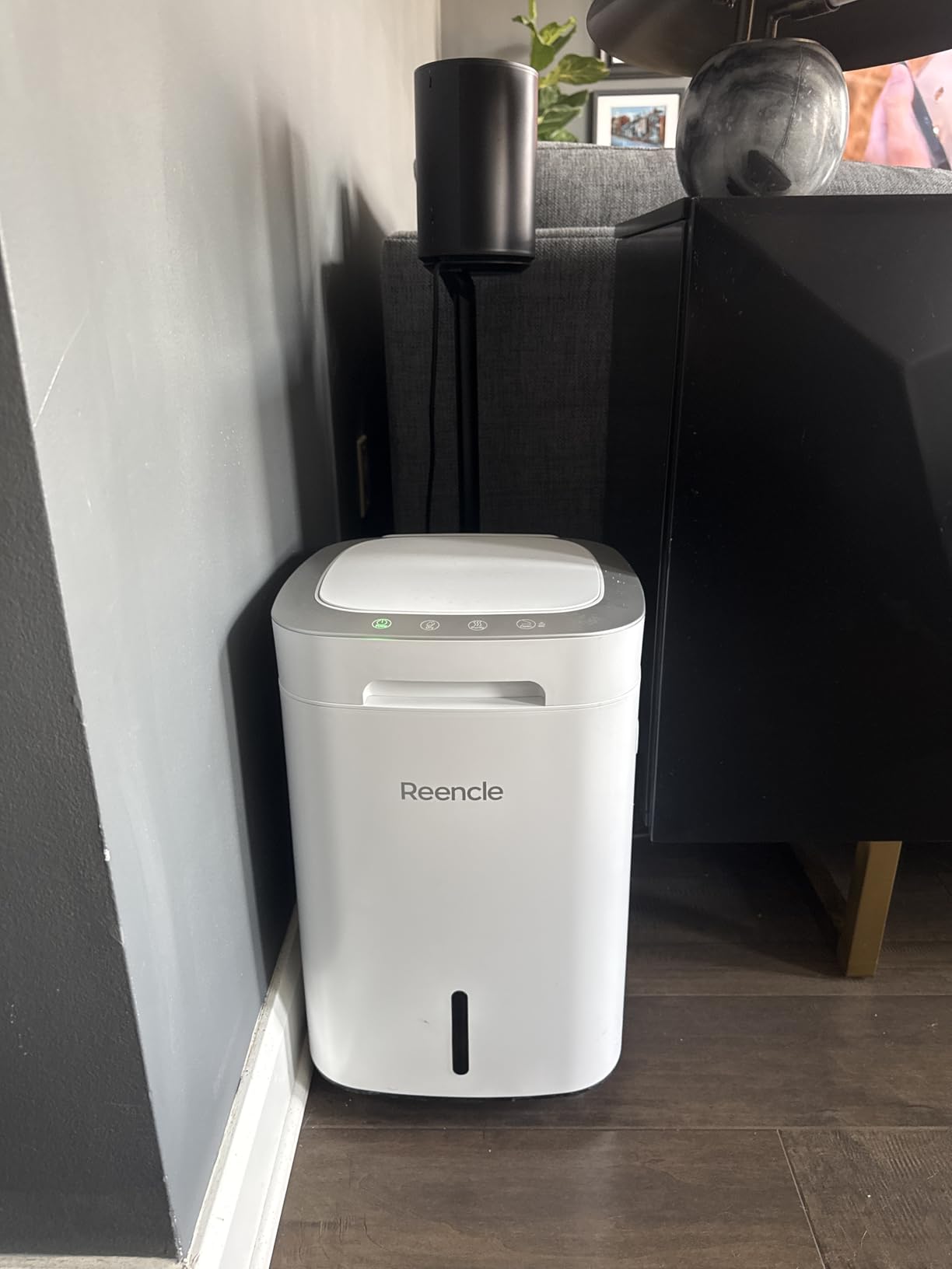 Reencle Prime Electric Composter - 14L Kitchen Composter, Decomposes Up to 2.2 lbs Food Waste Daily, Odorless Indoor Composting with Whisper-Quiet Technology & Rapid Decomposition (Silver) customer photo 2