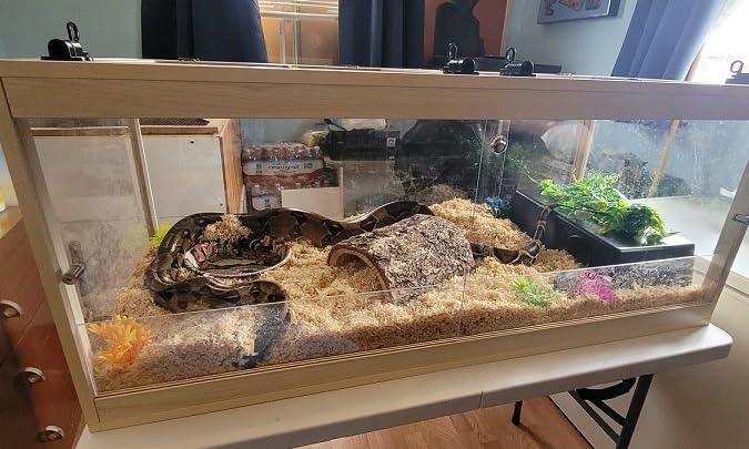 PROLEE Bearded Dragon Tank, Reptile Tank with Meatl Mesh Roof and Front Sliding Door, Lizard Tank,Spacious Reptile Enclosure for Snakes,Lguanas, Chameleons (Oak, 81 Gallons) customer photo 1