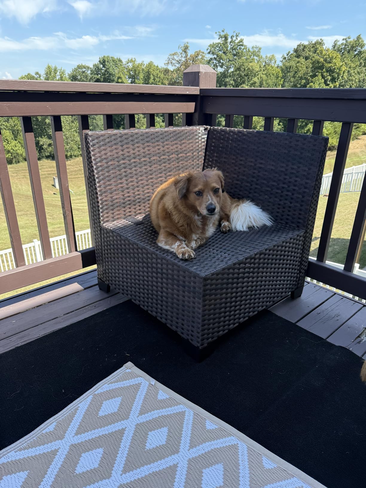 11 Pieces Patio Furniture Set with 2 Swivel Chairs Patio Furniture Outdoor Sectional Sofas with 55000 Gas Fire Pit Patio Conversation Set w/7 Cushions customer photo 2