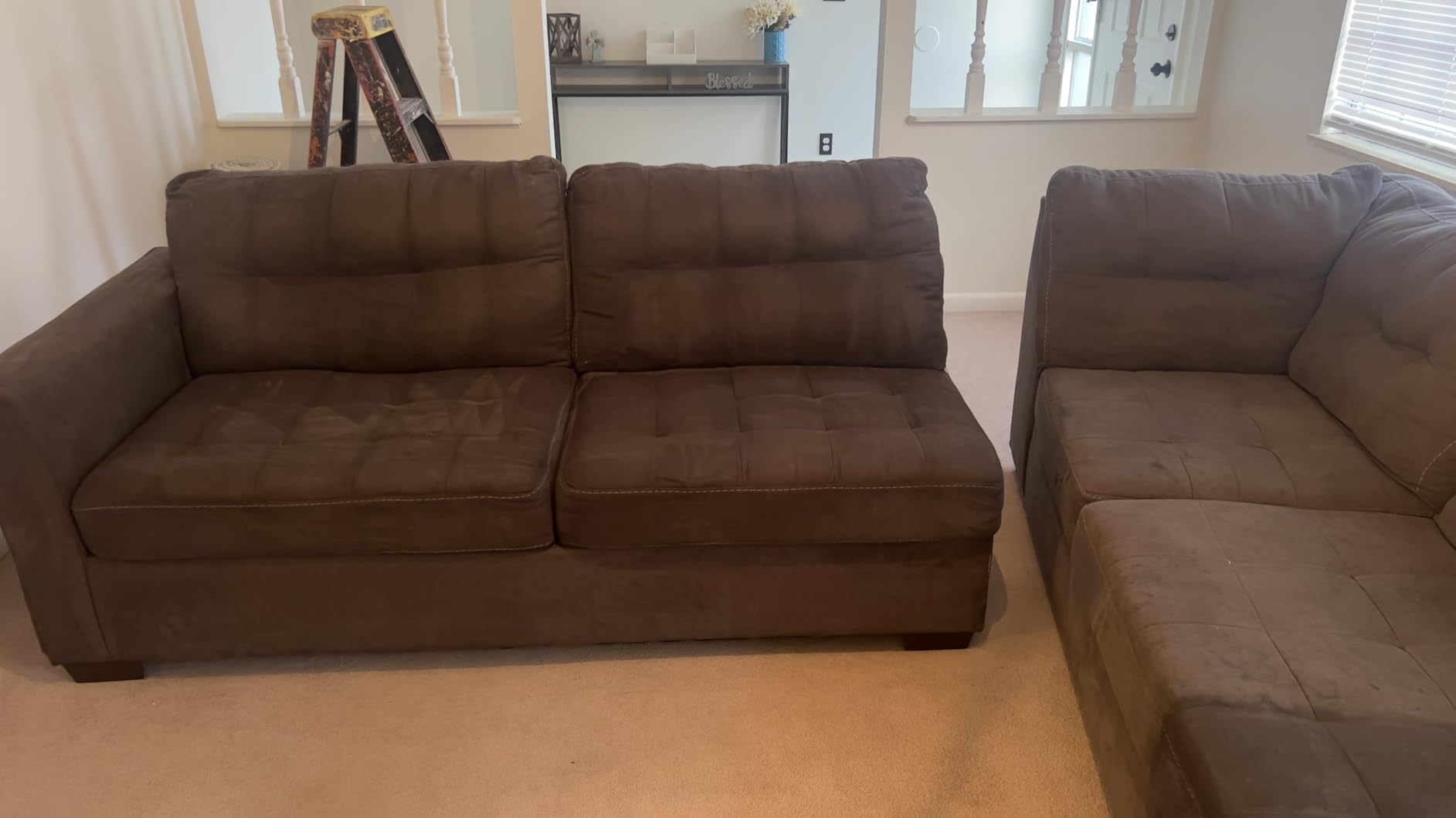 Little Green Pet Pro Portable Carpet and Upholstery Deep Cleaner, Car/Auto Detailer with Self-Cleaning Tough Stain, Pet Hair Removal, Crevice Tool (3909) customer photo 1