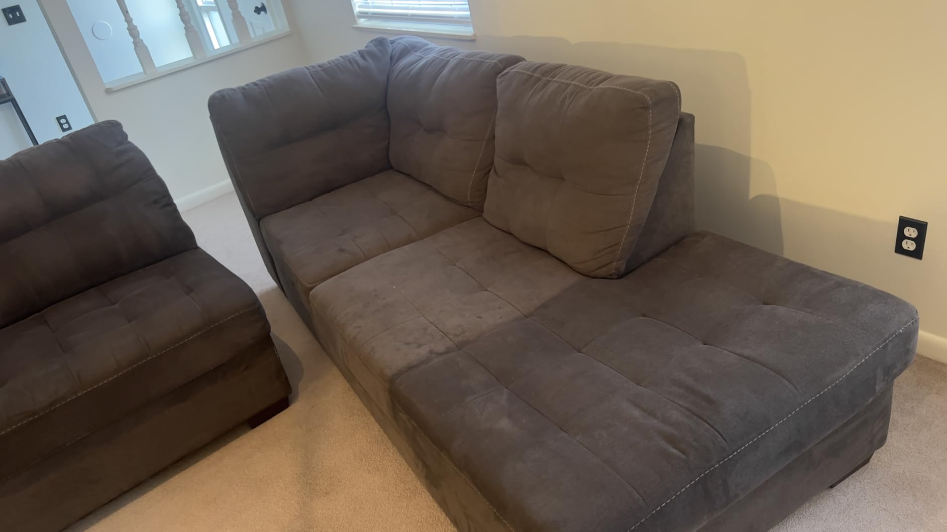 Little Green Pet Pro Portable Carpet and Upholstery Deep Cleaner, Car/Auto Detailer with Self-Cleaning Tough Stain, Pet Hair Removal, Crevice Tool (3909) customer photo 2