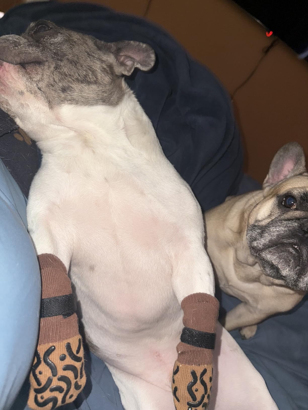 Double Sides Non-Slip Dog Socks to Prevent Licking Paws - Strong Traction for Paw Protector, Senior Dogs, Hardwood Floors, Dog Booties with Grippers - Size Large customer photo 2