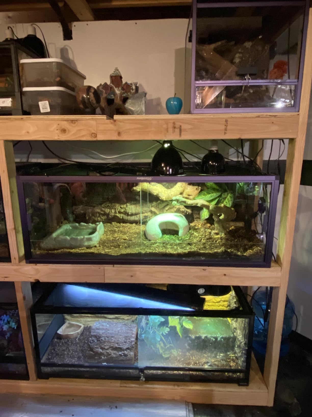 Reptile Misting System with Timer, 6 Adjustable-Joint Nozzles, Self-Priming Pump, Quiet Fine Mist for Chameleons, Geckos, Frogs & Terrariums customer photo 2