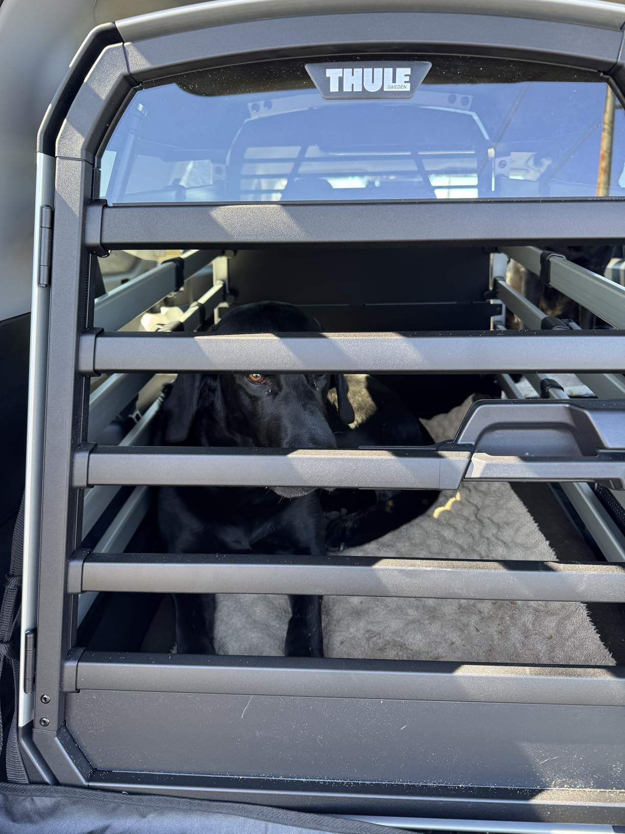 Thule Allax Dog Crate XL customer photo 1