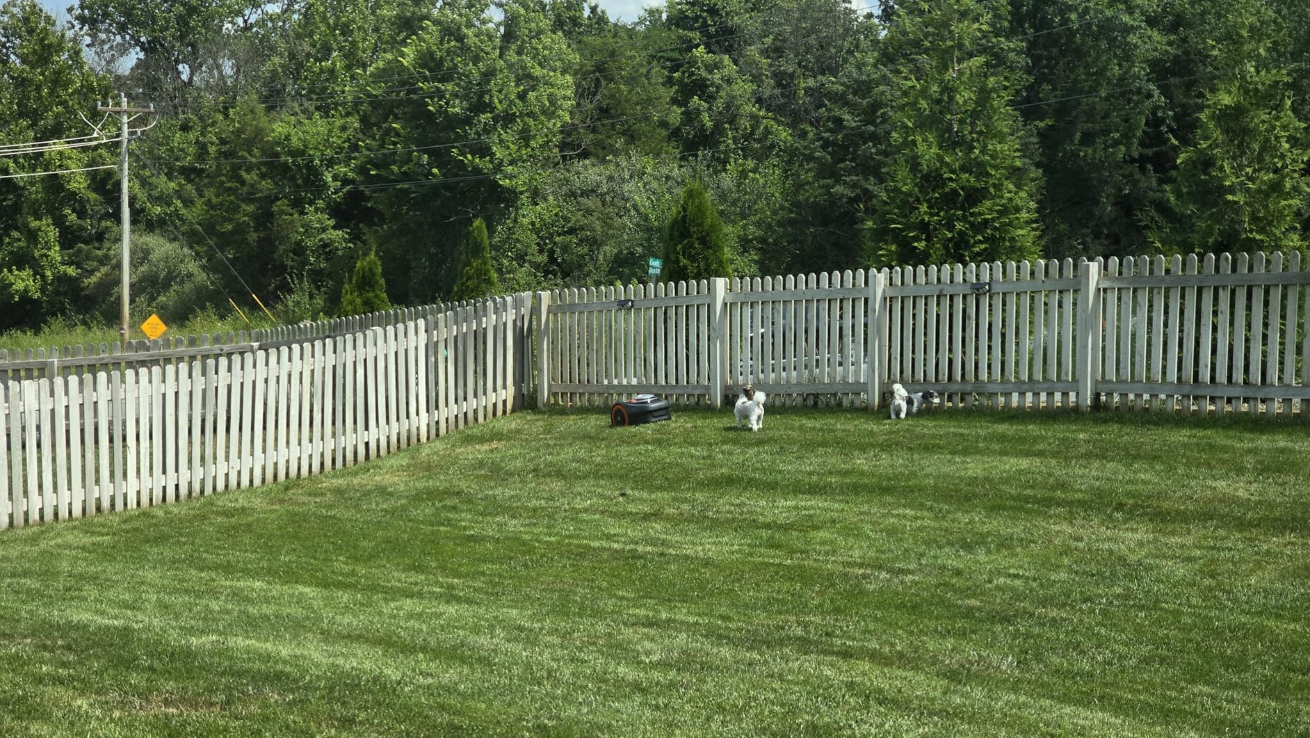 Segway Navimow i110N Robot Lawn Mower Perimeter Wire Free 1/4 Acre RTK+Vision Robotic Lawnmower, AI-Assisted Mapping, Virtual Boundary, APP Control, 58dB(A) Quiet, Multi-Zone Management customer photo 2