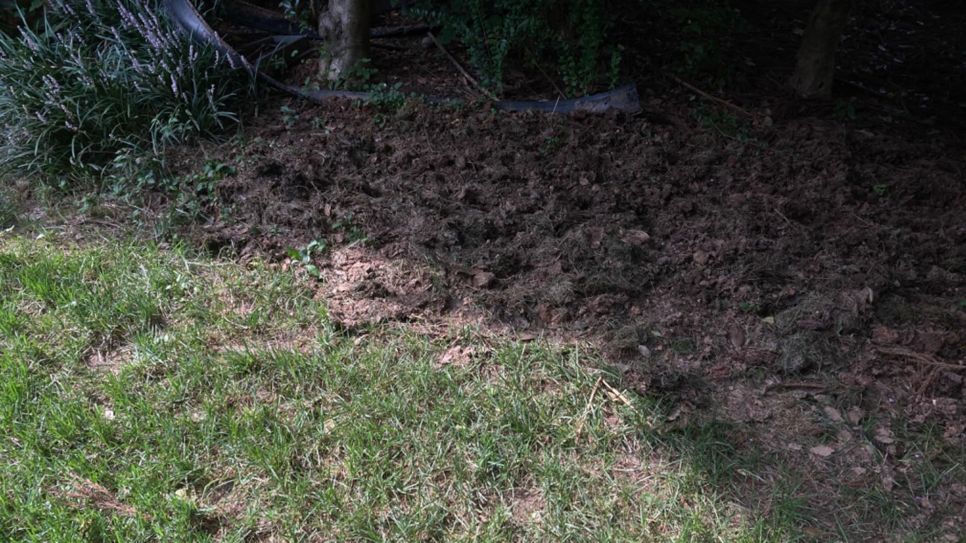 NOVUS 212cc 4 Cycle Front Tine Tiller Cultivator, Tilling Width Adjustment 12