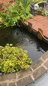 Pawfly Aquarium Air Pump Oxygen Pump for 10-200 Gallon Fish Tanks Buckets Dual Outlet Adjustable Ultra Quiet Aerator Pump with Accessories customer photo 1