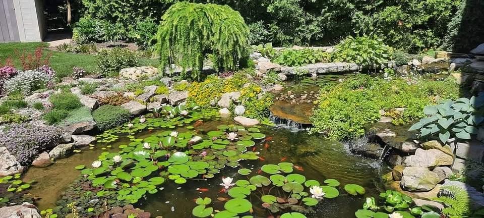 Pawfly Aquarium Air Pump Oxygen Pump for 10-200 Gallon Fish Tanks Buckets Dual Outlet Adjustable Ultra Quiet Aerator Pump with Accessories customer photo 2