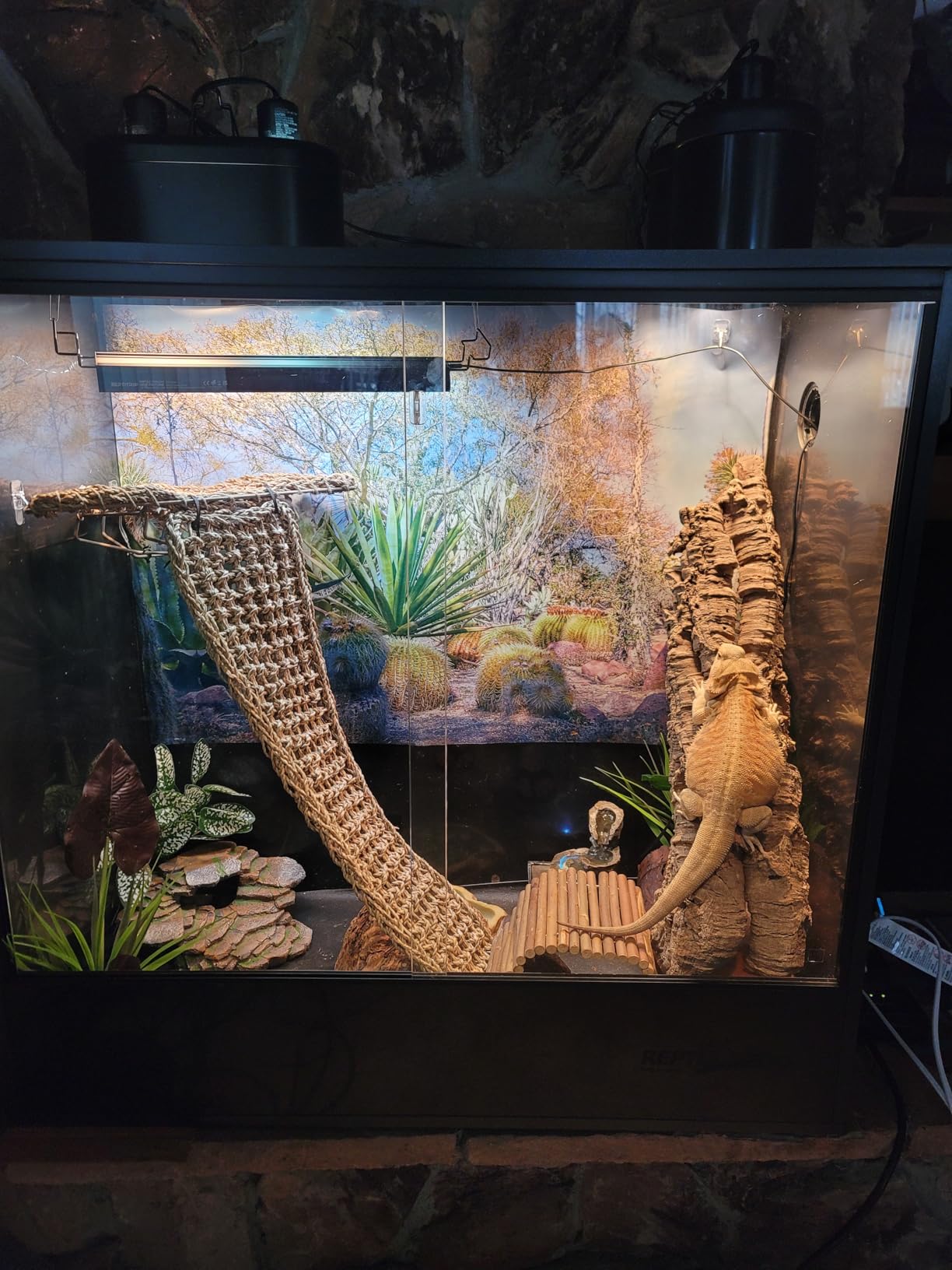 REPTIZOO 67 Gallon PVC Tall Reptile Tank, 24 x18x36 inch Large Reptile Terrarium for Gecko Lizard Chameleon Frog Snake, Enclosure Habitat with Sliding Door & Top Screen Ventilation customer photo 1
