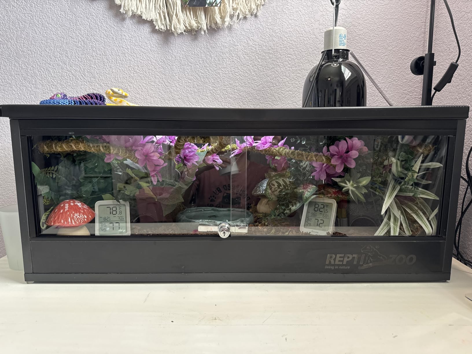 REPTI ZOO 20 Gallon PVC Reptile Tank, 30x12x12 inch Reptile Terrarium for Crested Gecko Frog Lizard Snake Turtle Hermit Crab, Leopard Gecko Enclosure with Sliding Door & Screen Ventilation customer photo 1