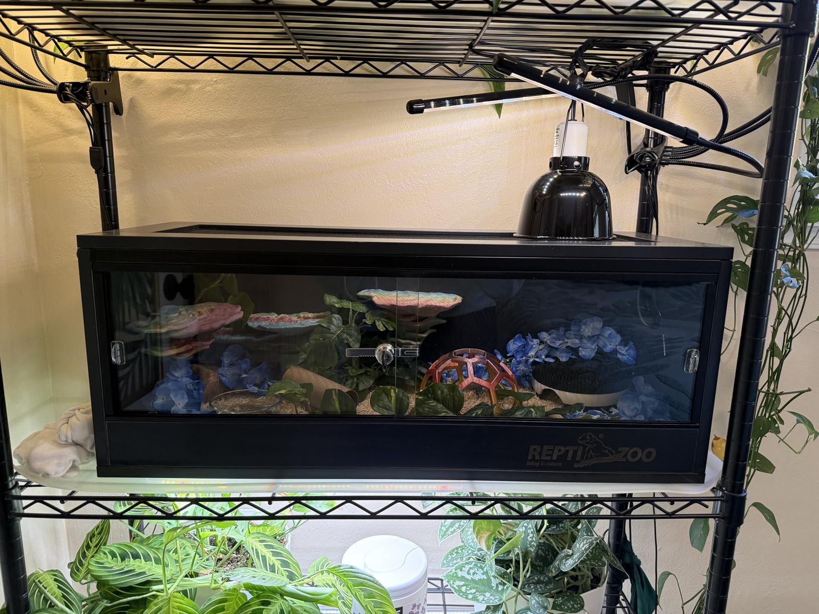 REPTI ZOO 20 Gallon PVC Reptile Tank, 30x12x12 inch Reptile Terrarium for Crested Gecko Frog Lizard Snake Turtle Hermit Crab, Leopard Gecko Enclosure with Sliding Door & Screen Ventilation customer photo 2