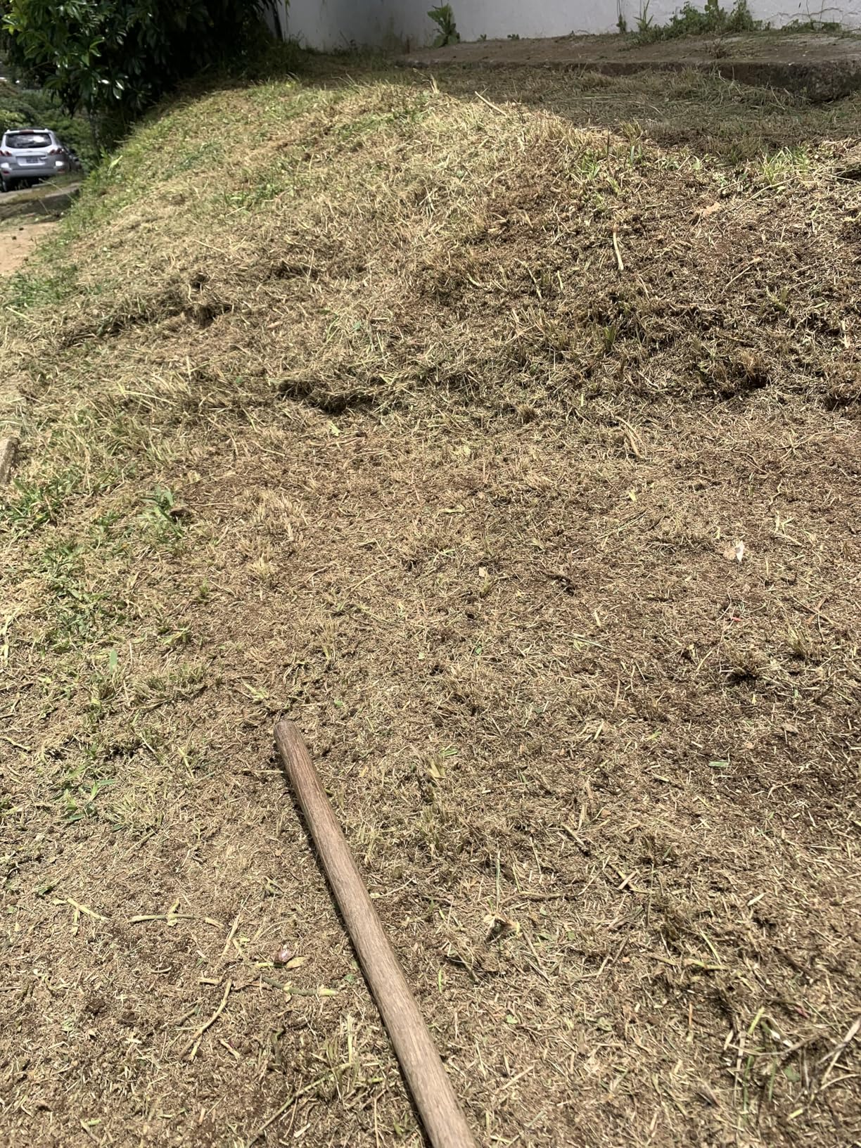 Husqvarna 122LK Gas Trimmer, 22-cc 2-Cycle, 17-inch Straight Shaft Gas Trimmer with T25 Head, 967628201 customer photo 2