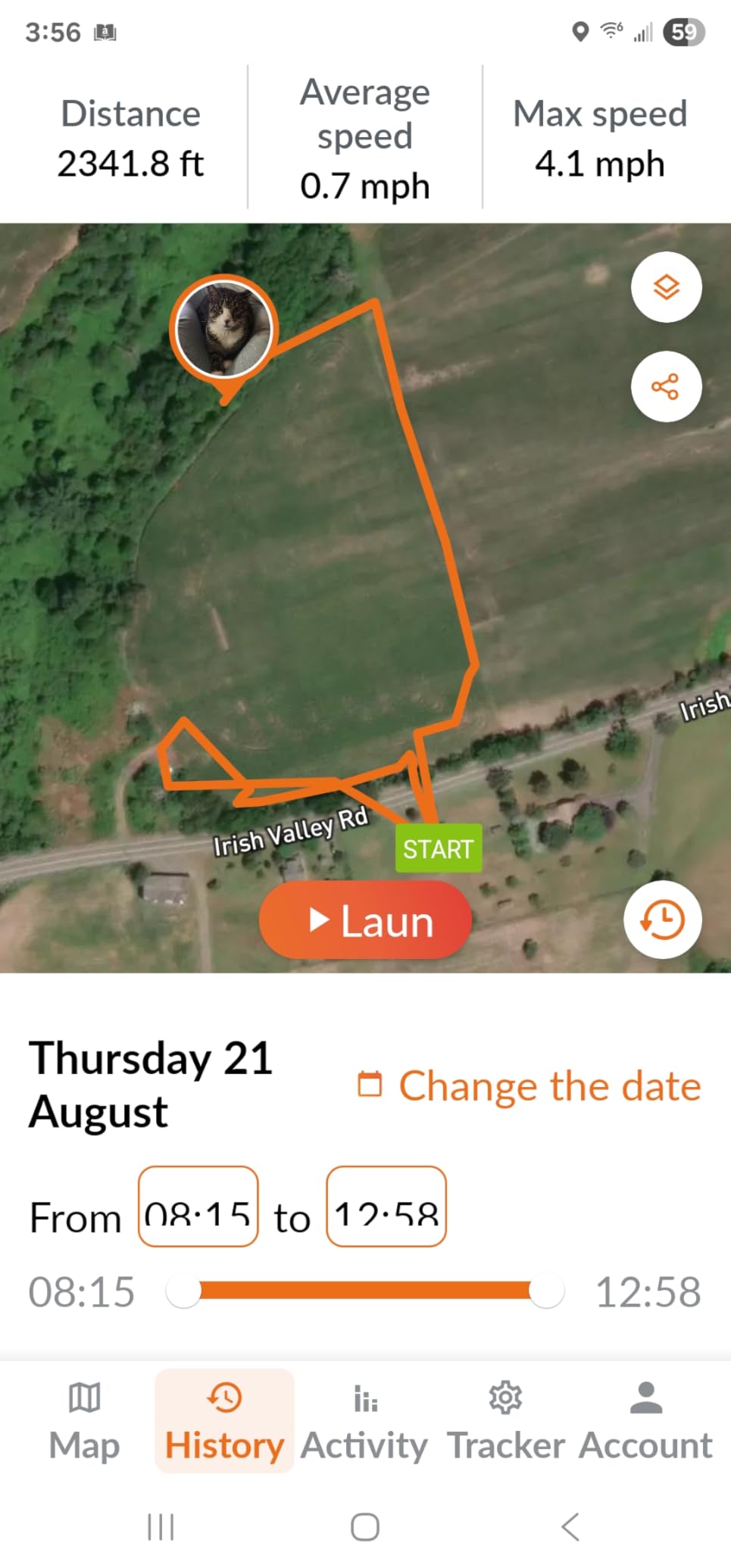 Weenect Cat XS - New GPS Tracker for Cats | Real-time Mini GPS Tracker for Cats | Smallest Model on The Market | Collar Included | Subscription Required customer photo 1