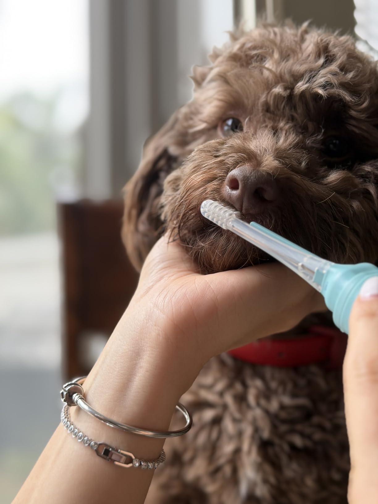 Dog Toothbrush | Innovative Eletrolytic Technology | Improves Oral Health & Reduces Bad Breath | No Vibrations & Silent Teeth Cleaning Brush | No Toothpaste Needed | Dog Teeth Cleaning Kit customer photo 1