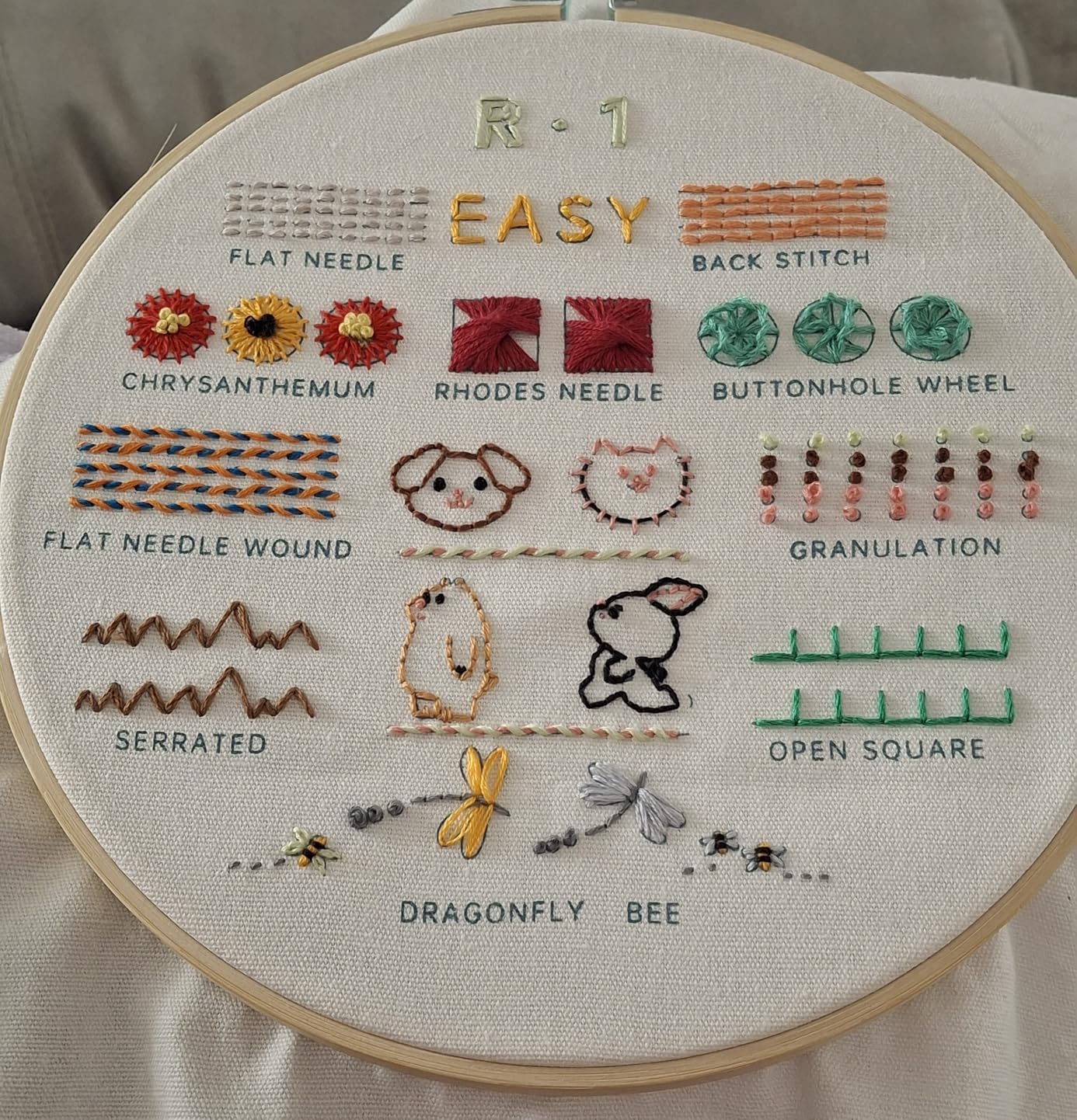 CYANFOUR Embroidery Kit for Beginners, 4 Stages to Learn 38 Stitches, with Step-by-Step Instructions and Clear Videos, Includes Multiple Accessories customer photo 1