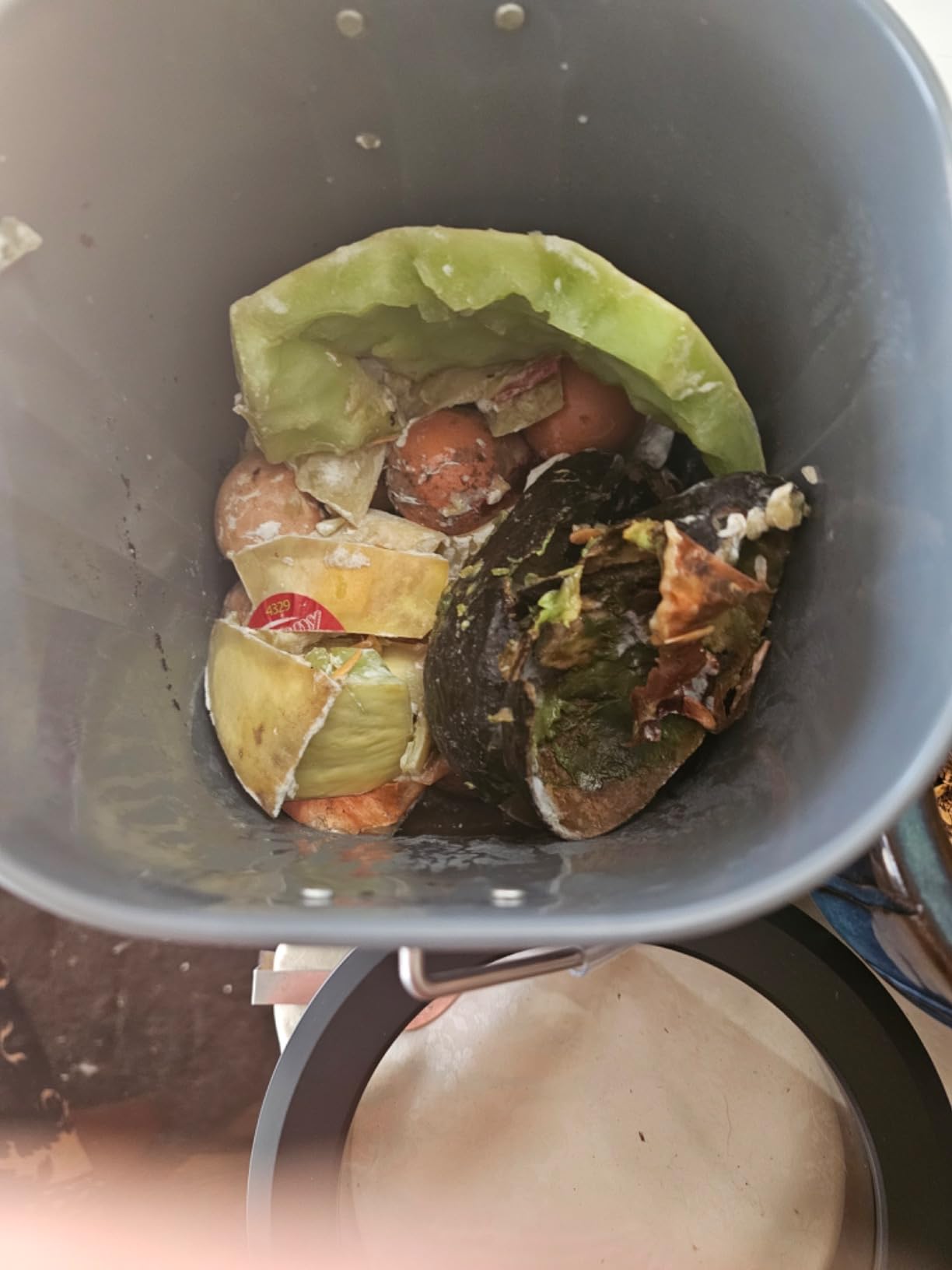 Luma by Newair Electric Composter for Kitchen | 2.5L Odorless Kitchen Composter | Dishwasher Safe Indoor Compost Machine | 90% Volume Reduction in 3-6 Hours customer photo 1