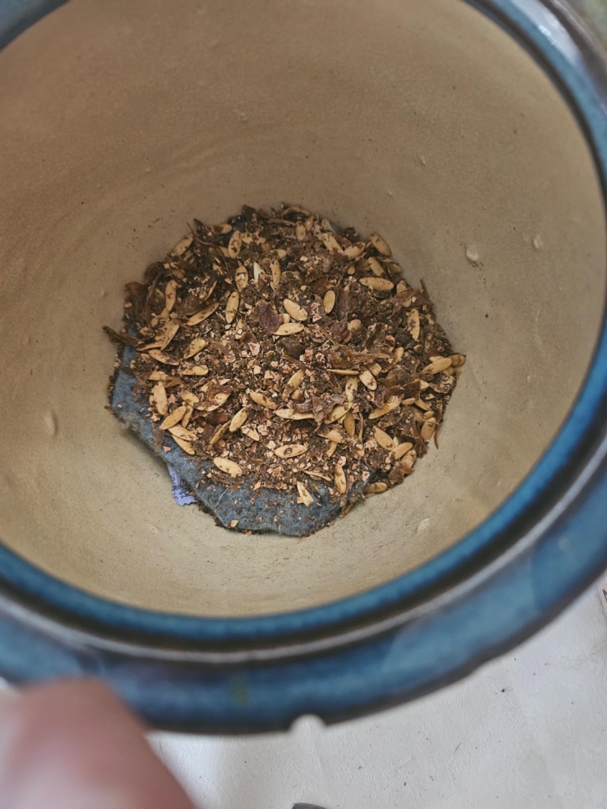 Luma by Newair Electric Composter for Kitchen | 2.5L Odorless Kitchen Composter | Dishwasher Safe Indoor Compost Machine | 90% Volume Reduction in 3-6 Hours customer photo 2