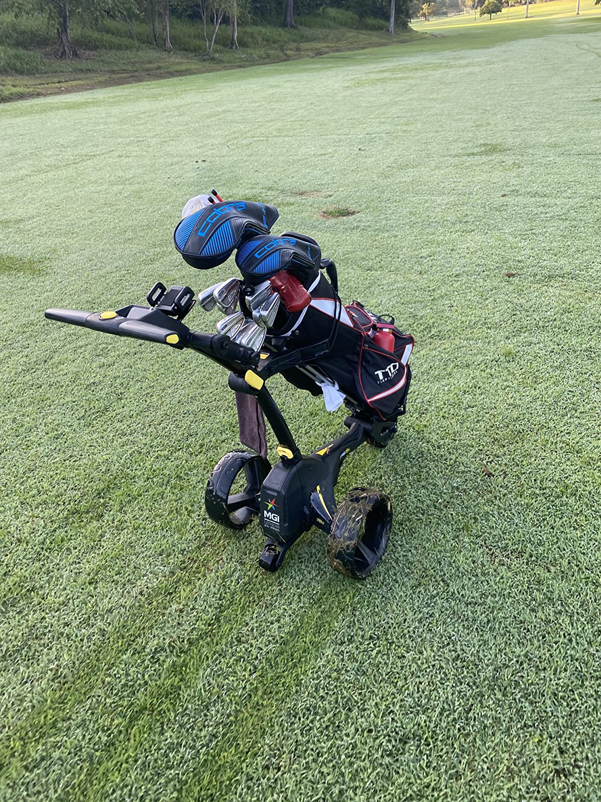 Zip X1 Electric Golf Cart - 36 Hole Battery - (GPS Phone) customer photo 1