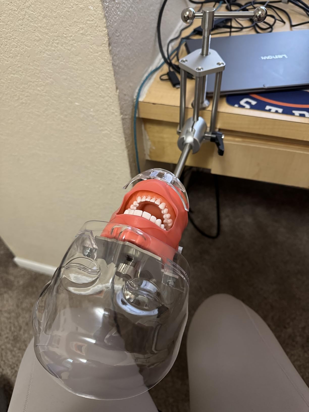 Ultrassist Dental Manikin Head with 32 Typodont Teeth Model, Dental Typodont Mount Fixed on Table, Dental Phantom Head customer photo 1