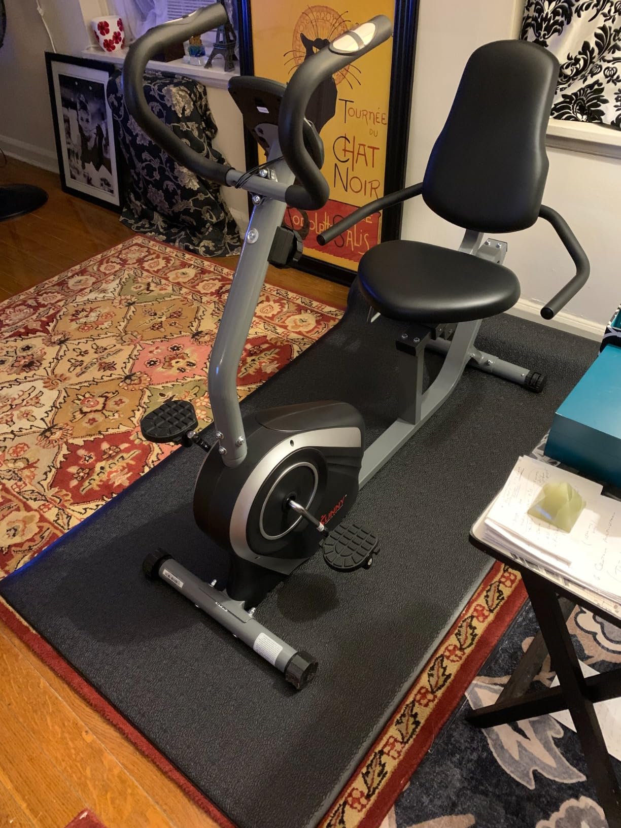 Sunny Health & Fitness Smart Heavy-Duty Recumbent Bike w/Wide Cushioned Seat & Back, Indoor Cycling Machine for Adult/Seniors Home Exercise, Free SunnyFit App Connect, Optional Workout Training Bands customer photo 2