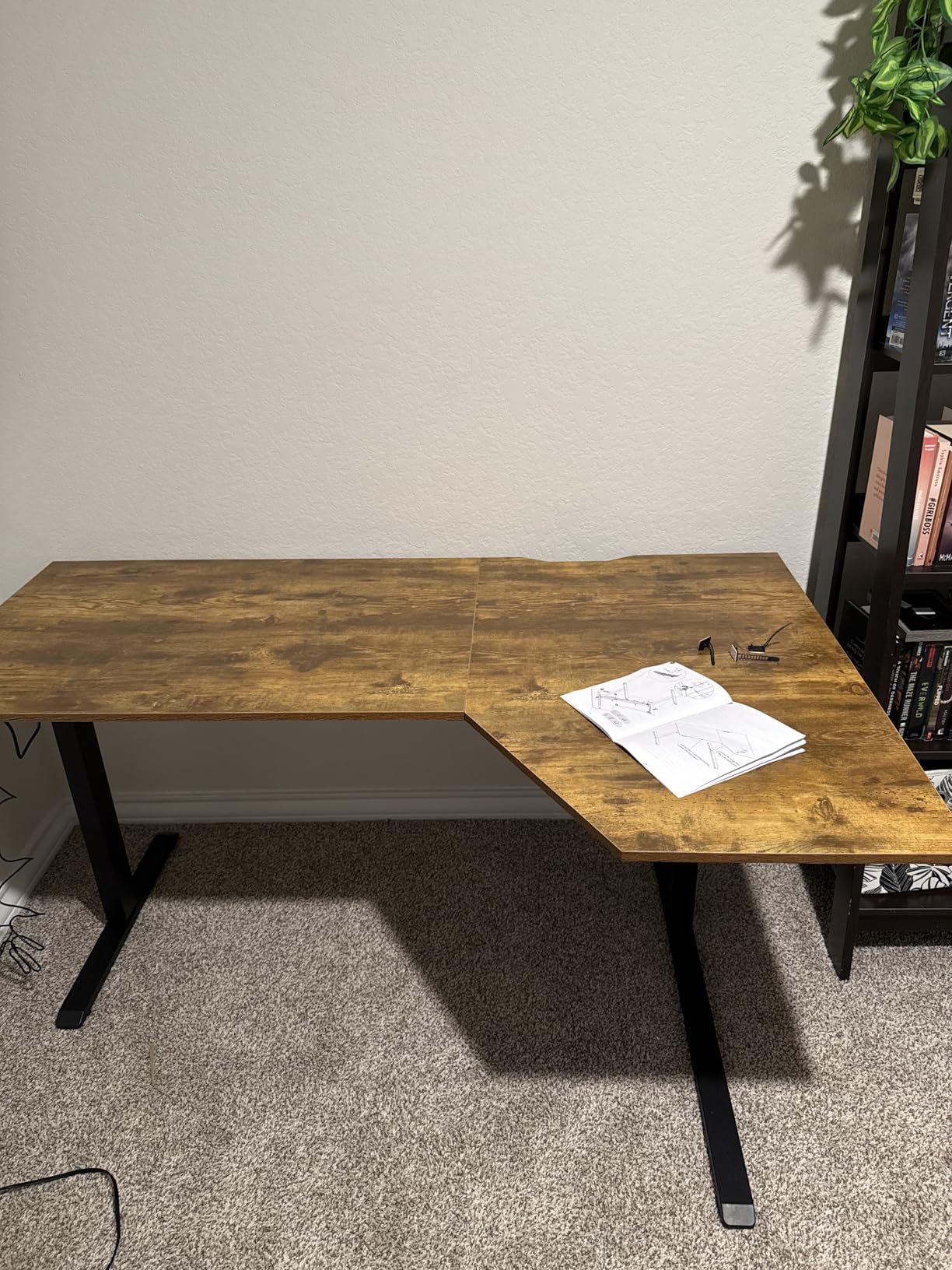 Agilestic Electric Standing Desk, L-Shaped 55 Inches Height Adjustable Desk, Sit and Stand up for Work Office Home, Ergonomic Rising Computer Table for Home Office with Splice Board, Rustic Brown customer photo 1