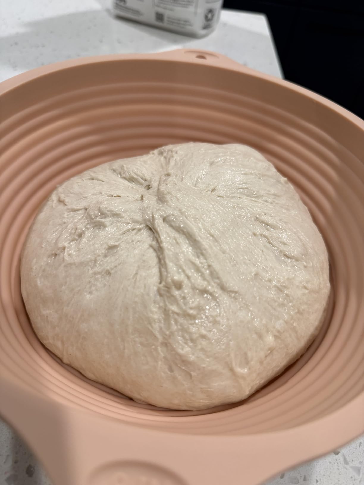 Sourdough Starter Kit, 24PCS Sourdough Bread Baking Supplies, 9