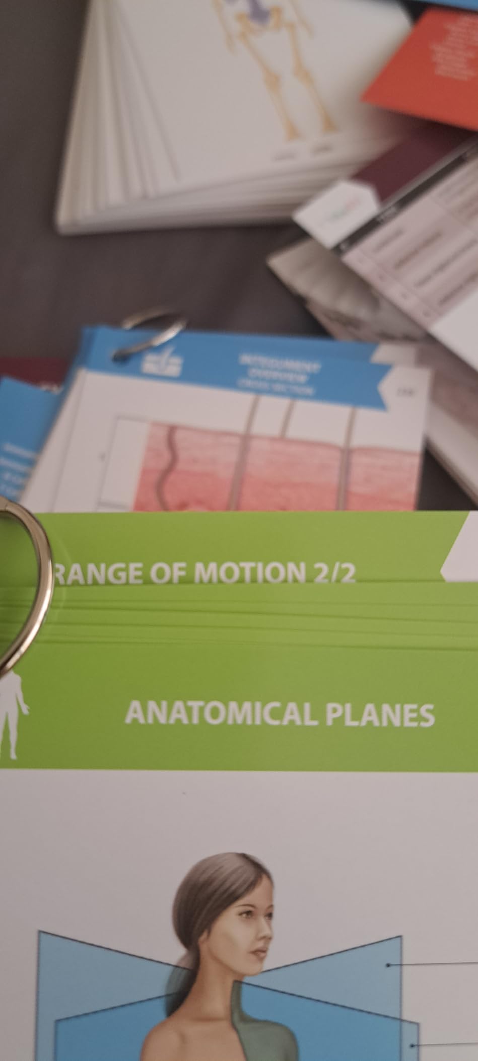 TribeRN Anatomy and Physiology Flash Cards - 320 Study Resources for Students - Human Anatomy & Physiology Study Tools - Medical, Nursing School Essentials - Durable & Easy to Use Flashcards customer photo 2