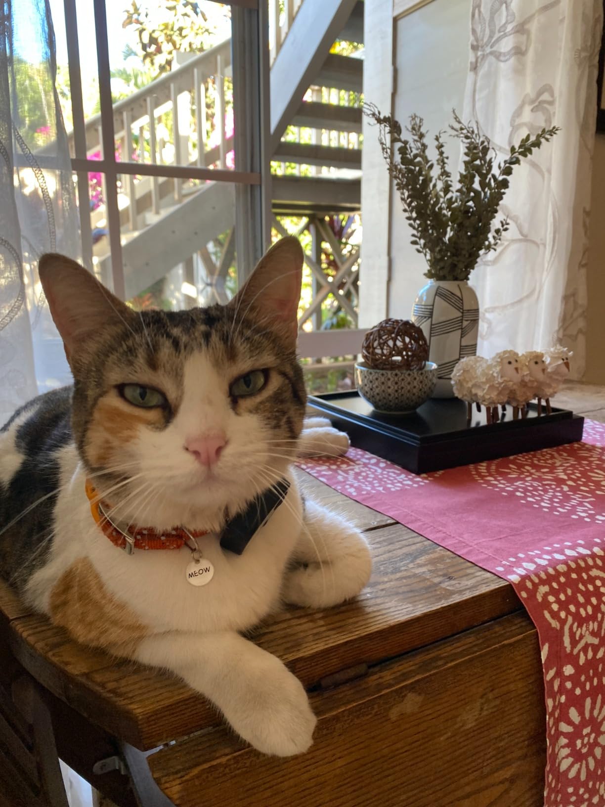 Power Pet Automatic Electronic Pet Door by High Tech Pet - Pet Operated Dog Door, High Security, Air Tight, for Large Dogs 30-100 lbs. (12 1/4