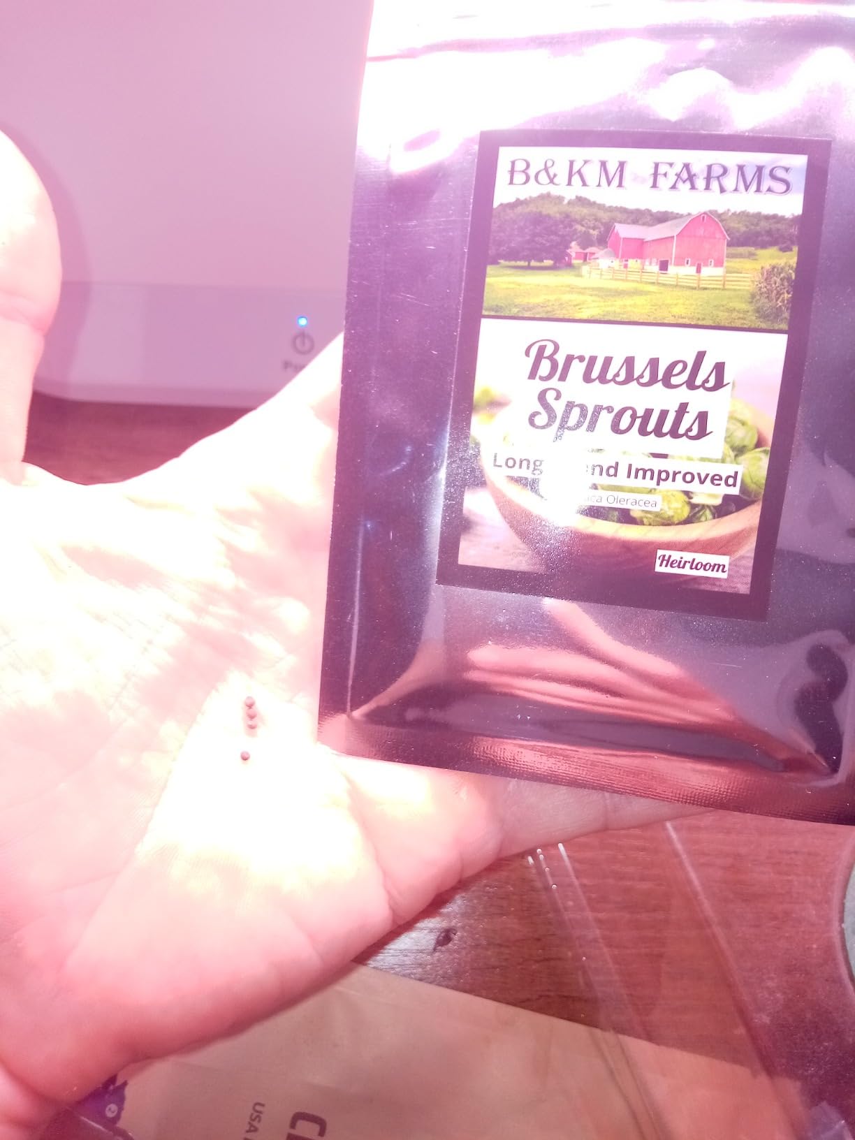 Survival Seed Vault: 50 Varieties, 50,000+ Non-GMO Heirloom Seeds - 5+ Year Supply in Secure Bucket + Growing Guide by B&KM Farms customer photo 1