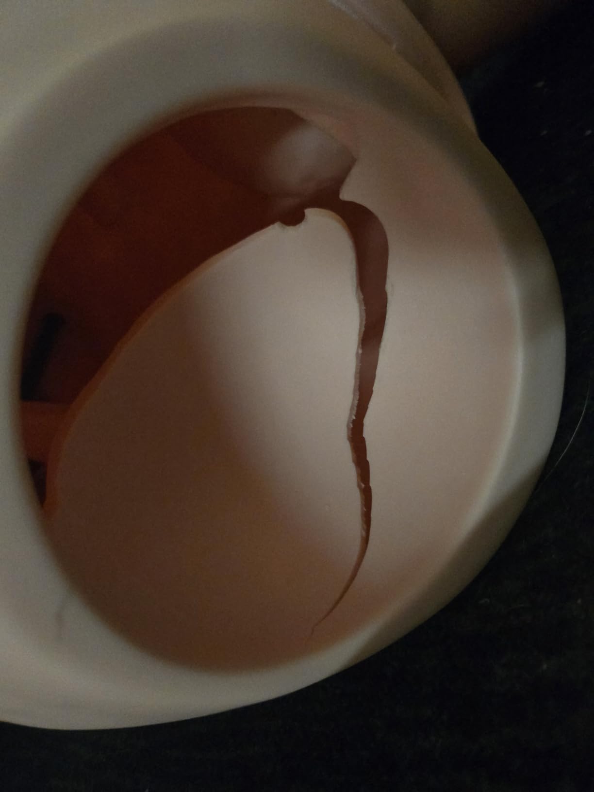 VEVOR Nursing Training Manikin, Female Life Size Demonstration Human Manikin for Nursing Training, Multifunctional Education Teaching Model Supplies, PVC Anatomical Mannequin Body Care Simulator Model customer photo 2