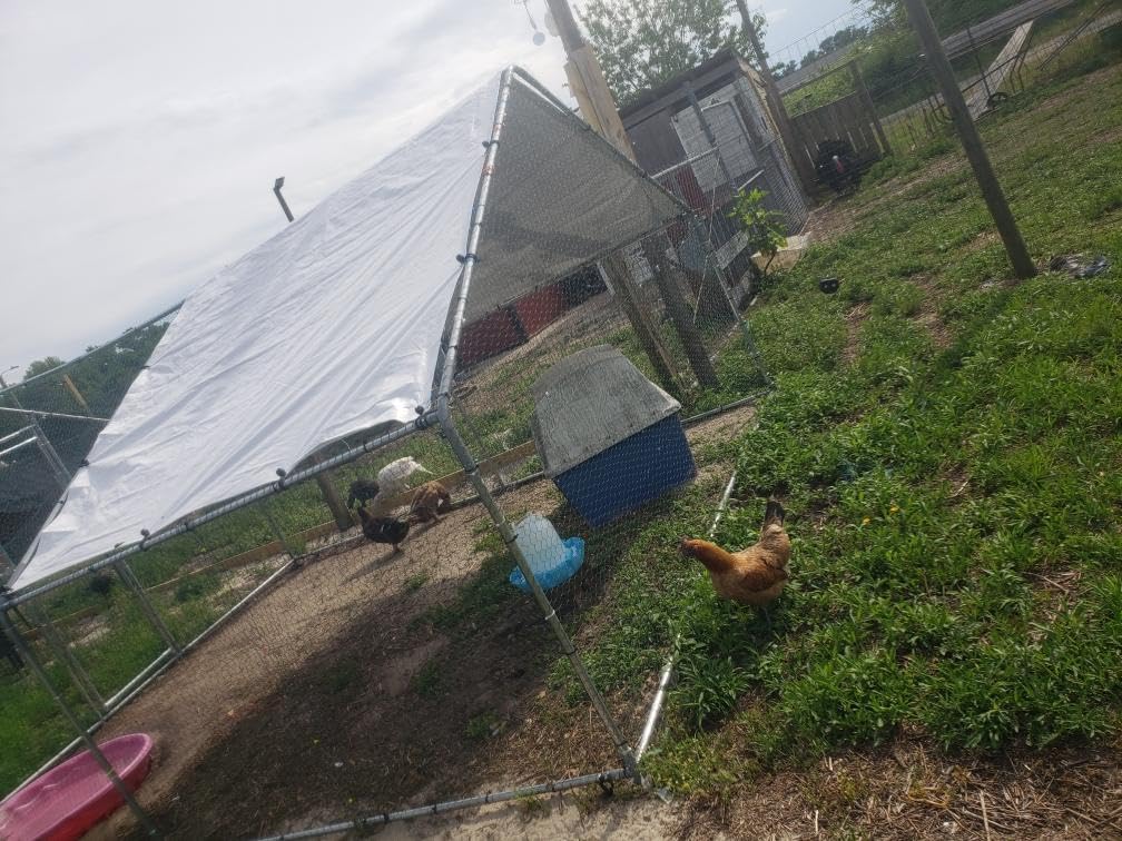 Large Metal Chicken Coop Chicken Pen with Water-Resident and Anti-UV Cover Walk-in Poultry Cage Chicken Runs for Yard with Cover Duck Rabbit Dog House Outdoor customer photo 1
