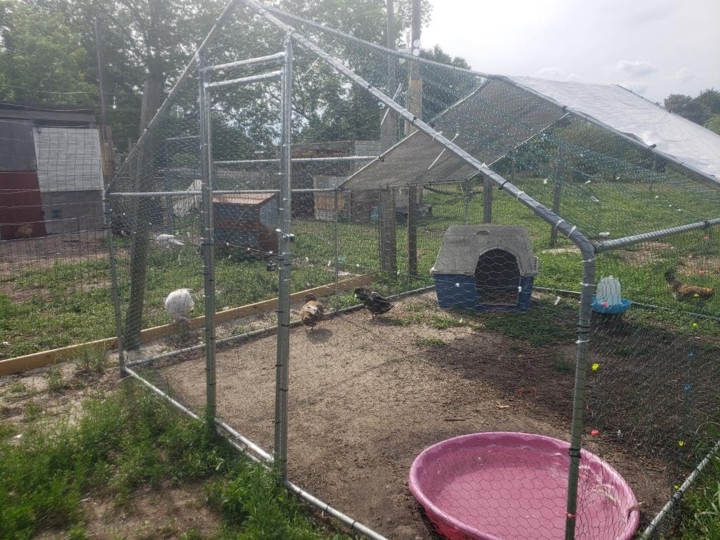 Large Metal Chicken Coop Chicken Pen with Water-Resident and Anti-UV Cover Walk-in Poultry Cage Chicken Runs for Yard with Cover Duck Rabbit Dog House Outdoor customer photo 2