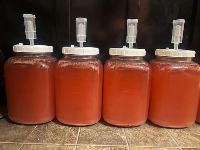 Folinstall 1.5 Gallon Large Fermentation Jars with 2 Airtight Lids and 3 Airlocks, Wide Mouth Glass Mason Jar with Scale Mark, Pickle jars, Mead Making Kit, Kimchi Containers, 2 Pack customer photo 1