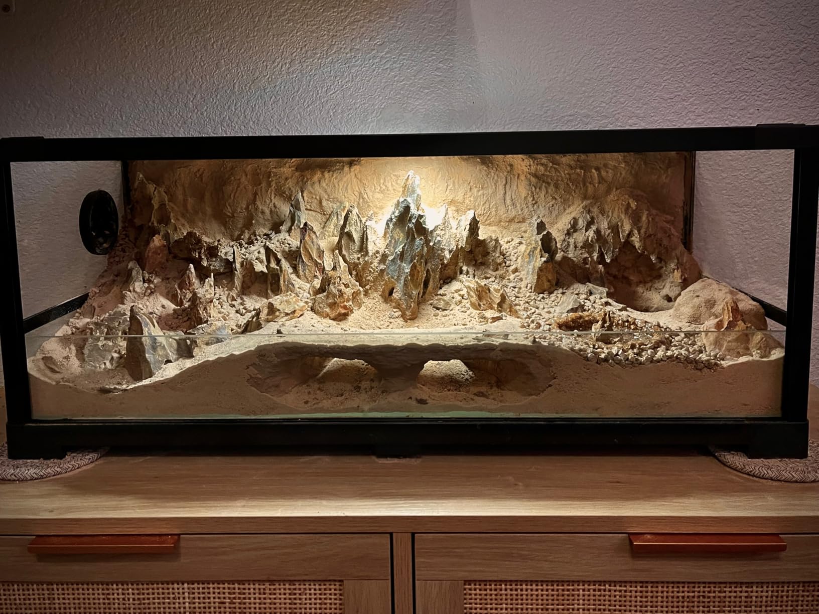 20 Gallon Reptile Tank, 30