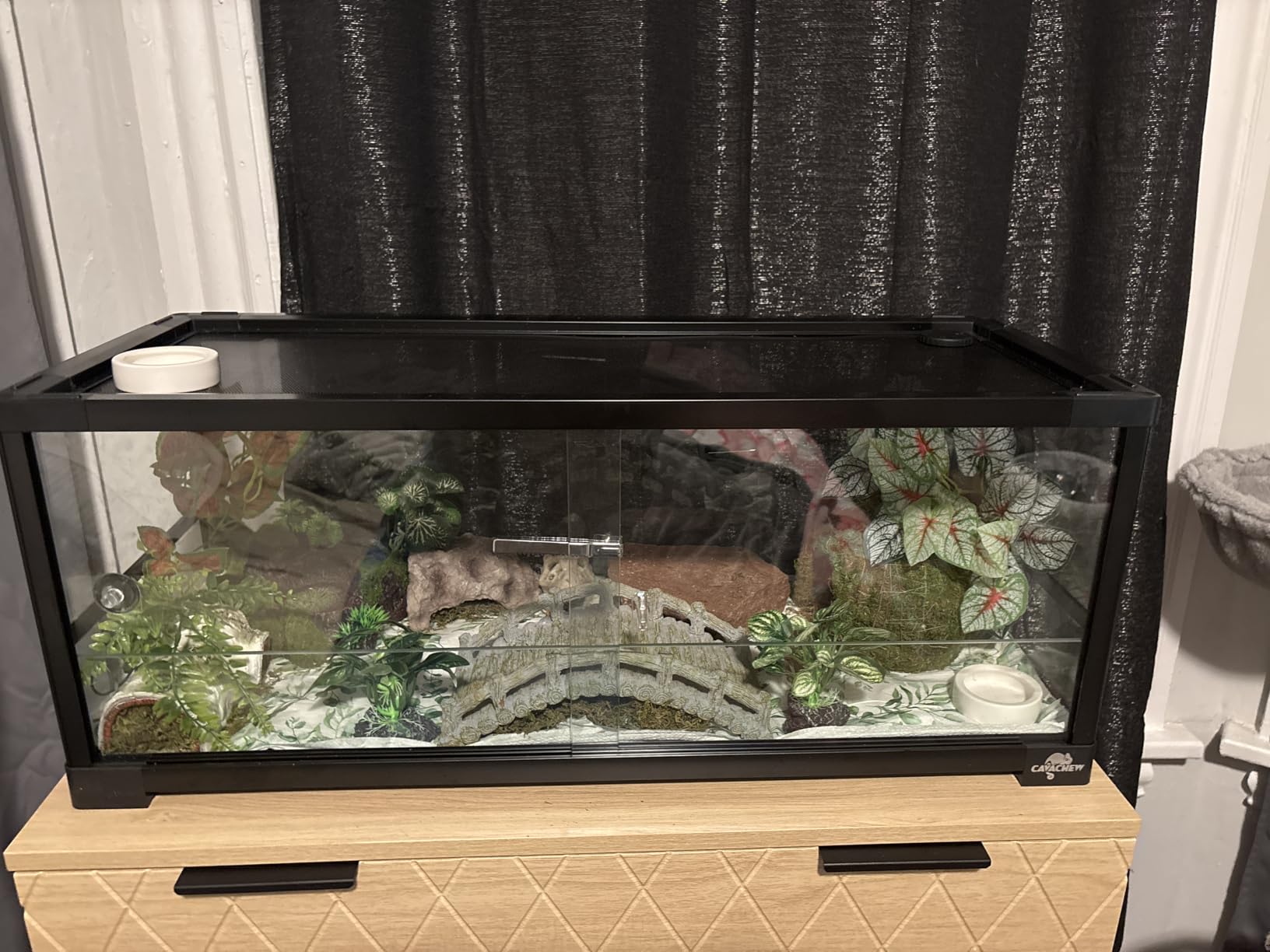 20 Gallon Reptile Tank, 30
