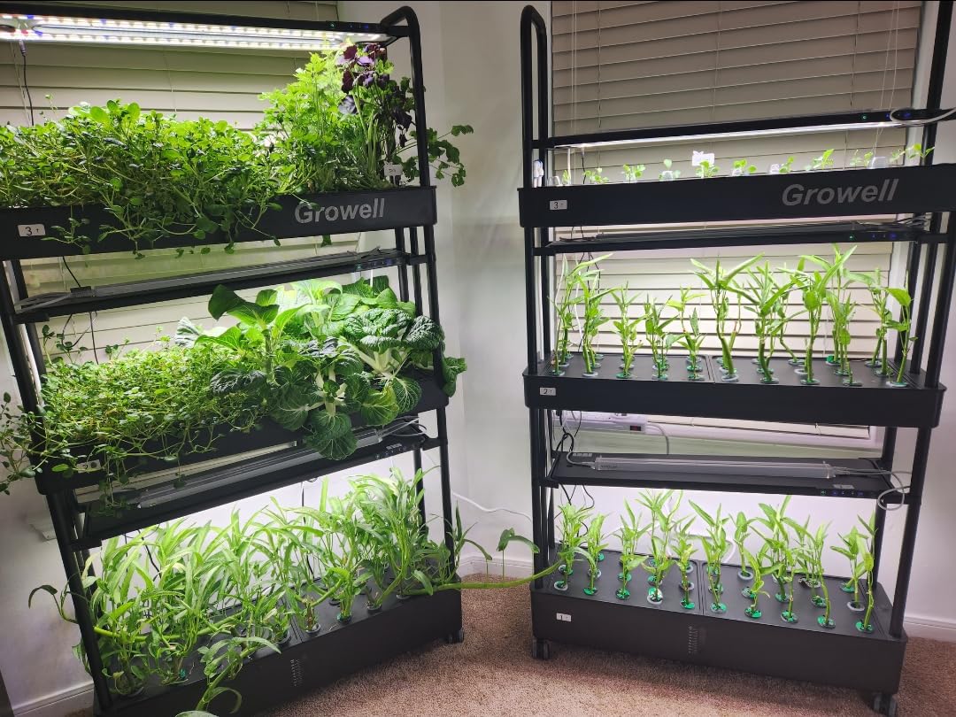 90-Pod Hydroponics Growing System, Large Vertical Hydroponic Garden with Smart Full-Spectrum Grow Lights, Auto Circulating Water, Mobile Indoor Gardening System for Herbs, Vegetables & Fruits customer photo 1