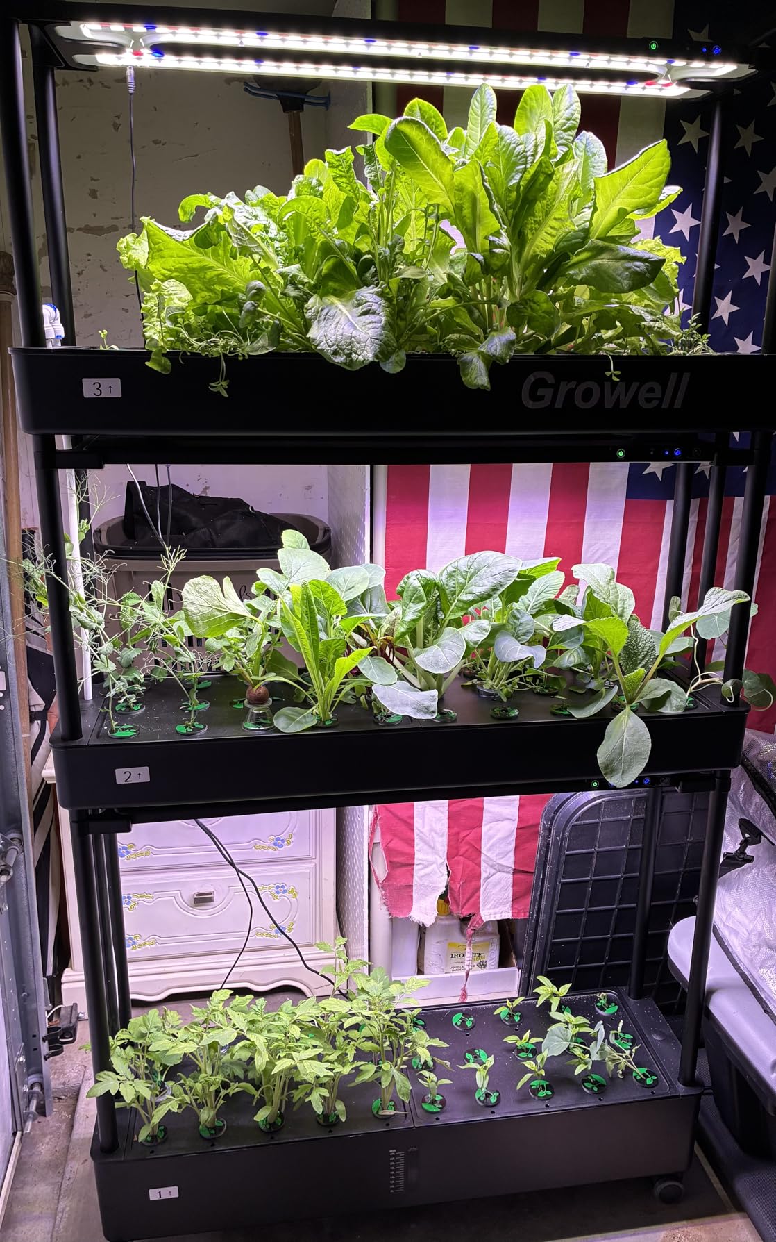 90-Pod Hydroponics Growing System, Large Vertical Hydroponic Garden with Smart Full-Spectrum Grow Lights, Auto Circulating Water, Mobile Indoor Gardening System for Herbs, Vegetables & Fruits customer photo 2