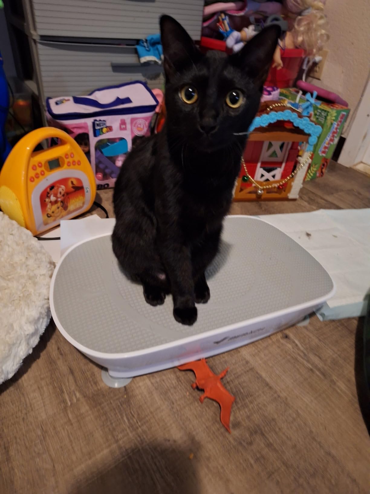 MERACH Vibration Plate Exercise Machine, Whole Body Workout Equipment for Women, Bluetooth and Silicone Pedal, Vibration Plate with Auto Mode, Vibrate Fitness Platform for Home customer photo 2