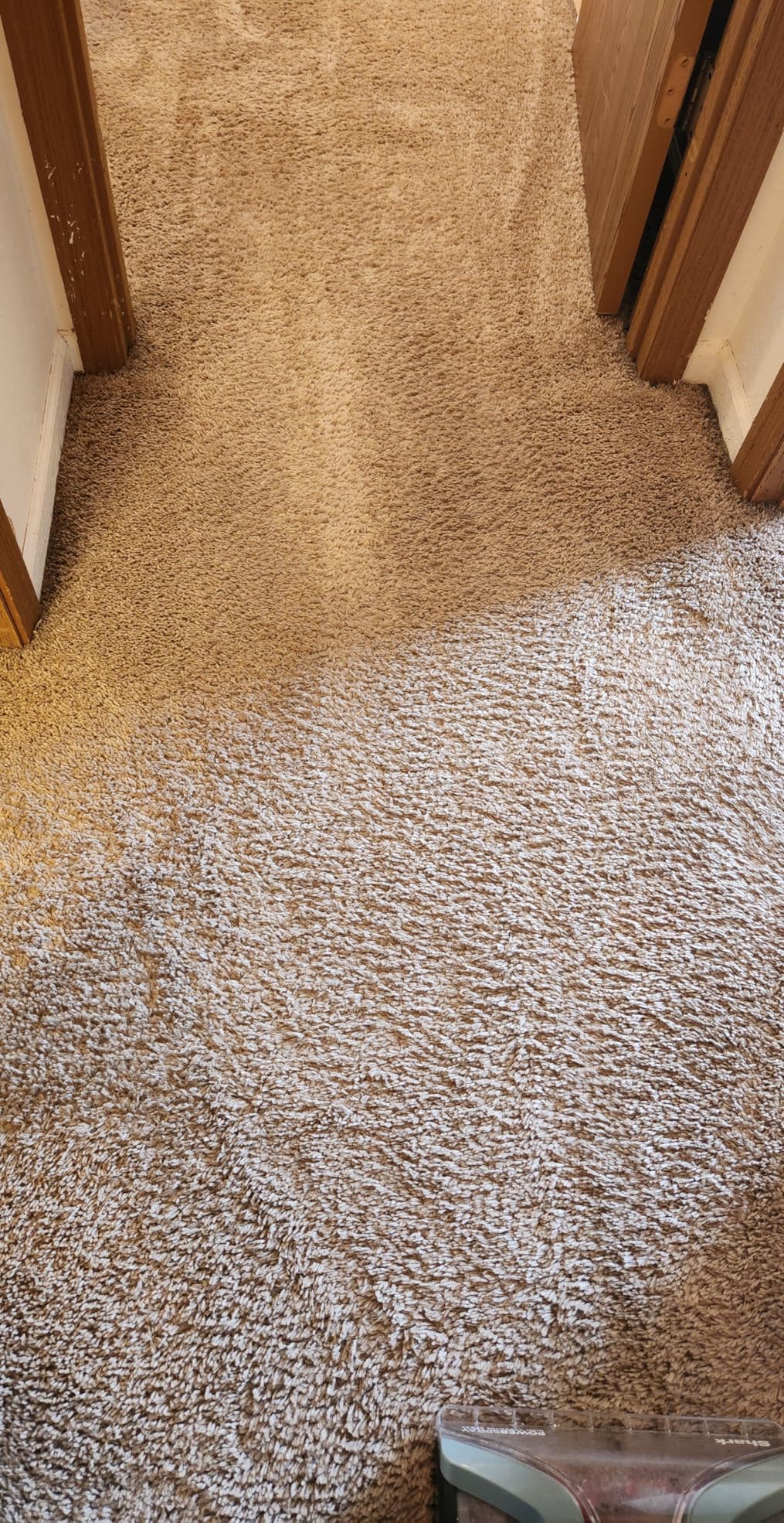 Shark CarpetXpert | Upright Carpet, Area Rug & Upholstery Cleaner | Carpet Shampooer with Handheld Spot & Stain Eliminator | 3 Cleaning Tools | Slate Green | EX151 customer photo 2